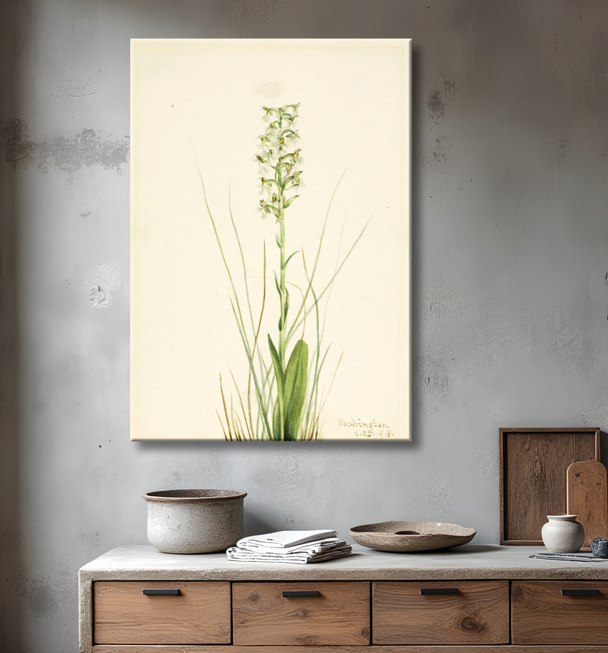 Reproduction Frange-orchidée en lambeaux (Habenaria lacera) de Mary Vaux Walcott, born Philadelphia, PA 1860-died St. Andrews, New Brunswick, Canada 1940 avec decor