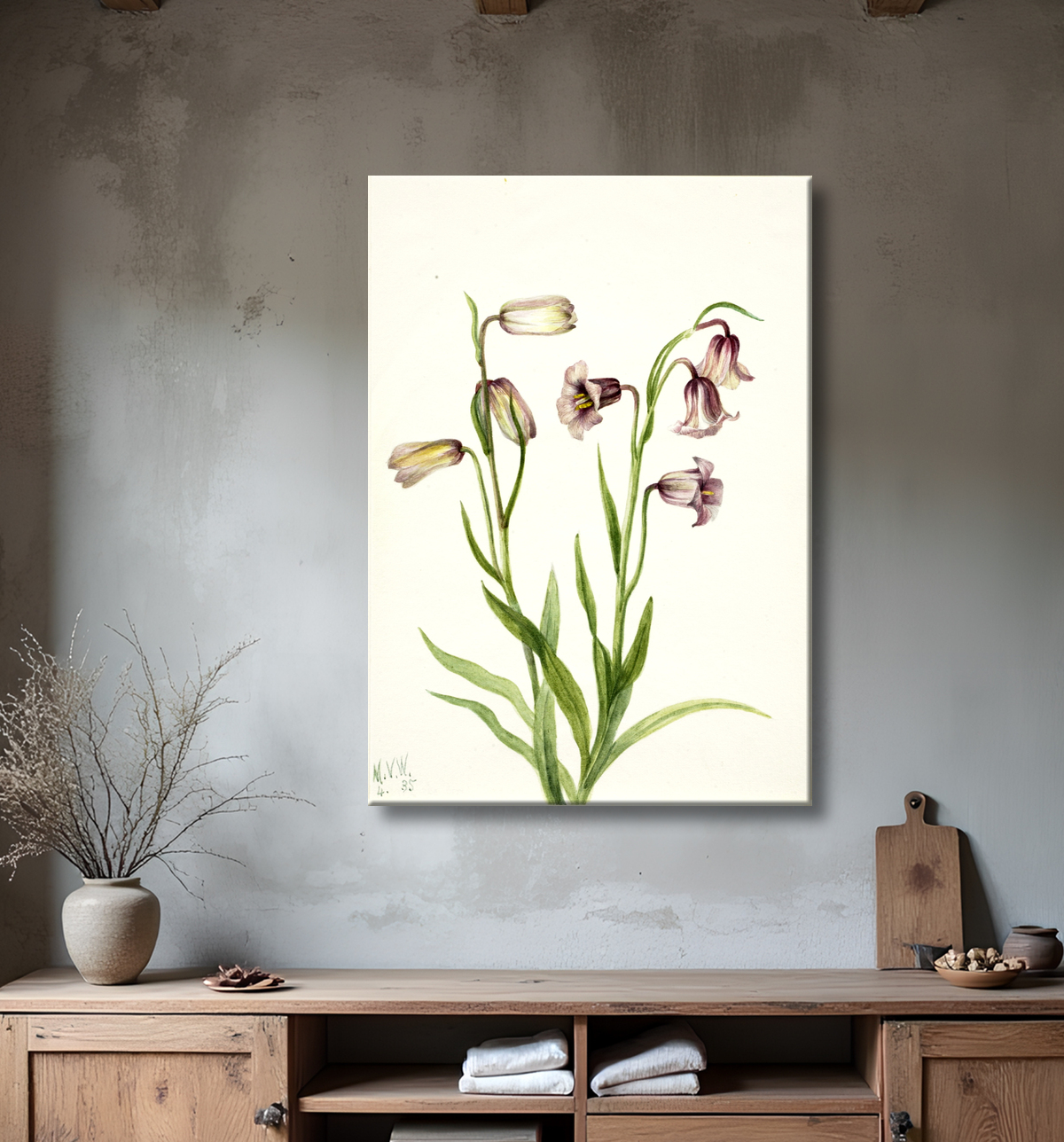 Reproduction Fritillaire (Fritillaria biflora) de Mary Vaux Walcott, born Philadelphia, PA 1860-died St. Andrews, New Brunswick, Canada 1940 avec decor