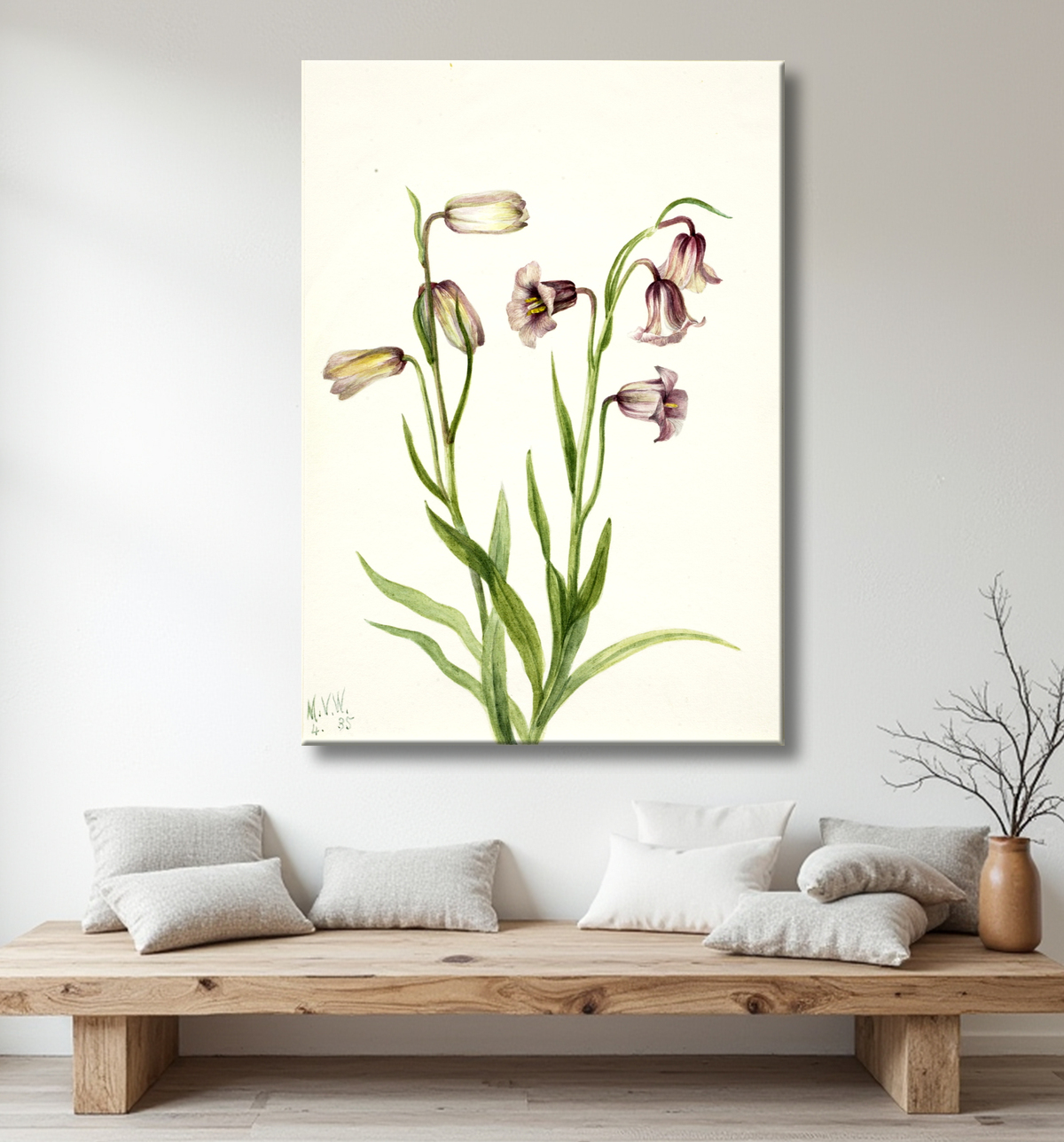 Reproduction Fritillaire (Fritillaria biflora) de Mary Vaux Walcott, born Philadelphia, PA 1860-died St. Andrews, New Brunswick, Canada 1940 avec decor
