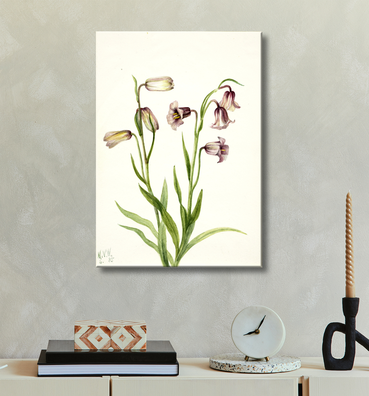 Reproduction Fritillaire (Fritillaria biflora) de Mary Vaux Walcott, born Philadelphia, PA 1860-died St. Andrews, New Brunswick, Canada 1940 avec decor