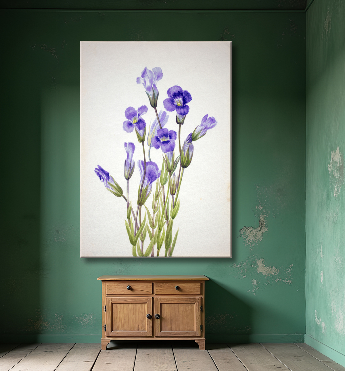 Reproduction Gentiane frangée (Gentiana elegana) de Mary Vaux Walcott, born Philadelphia, PA 1860-died St. Andrews, New Brunswick, Canada 1940 avec decor