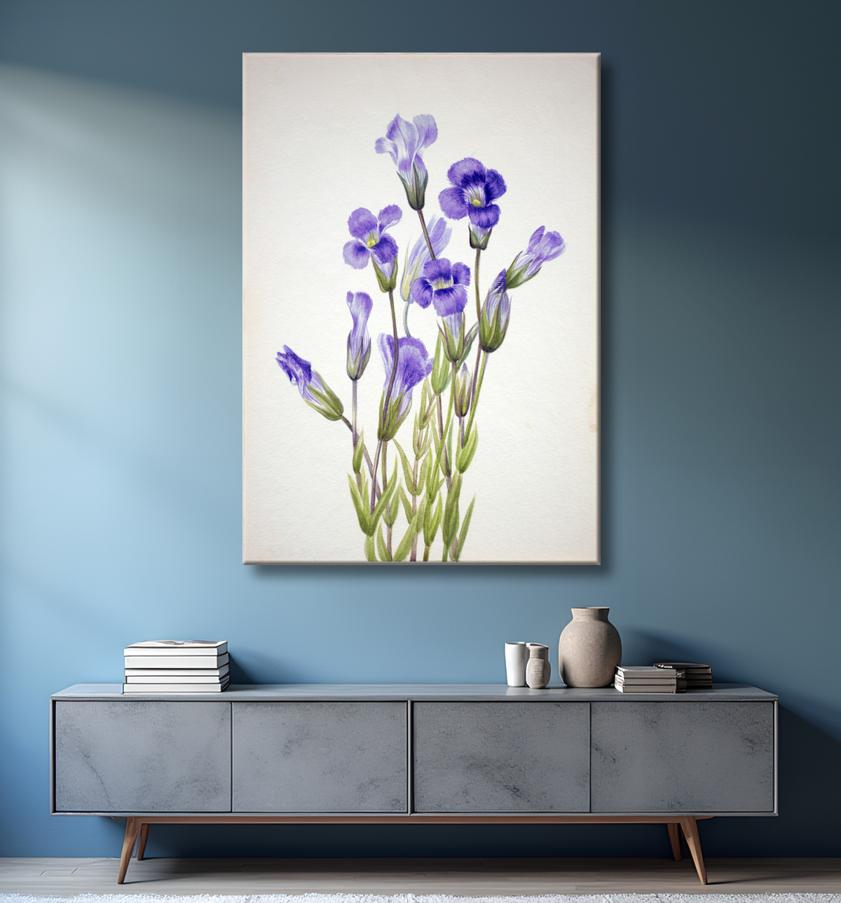 Reproduction Gentiane frangée (Gentiana elegana) de Mary Vaux Walcott, born Philadelphia, PA 1860-died St. Andrews, New Brunswick, Canada 1940 avec decor