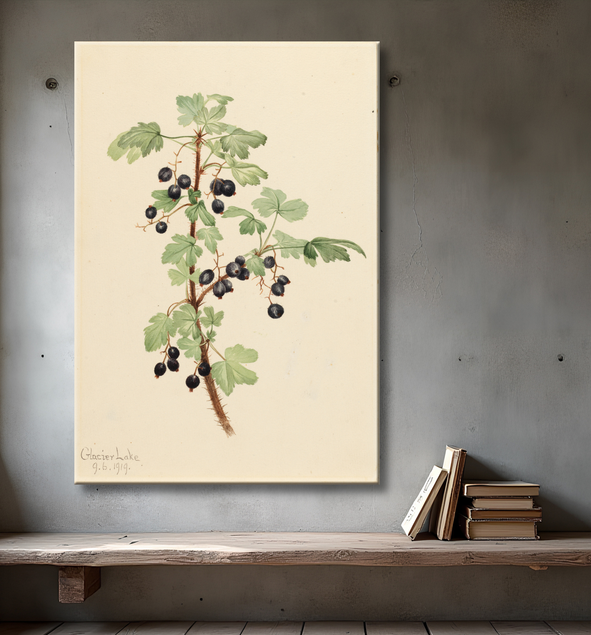 Affiche encadrée de qualité ou toile fine art made in France. Groseille épineuse (Rive du lac)...