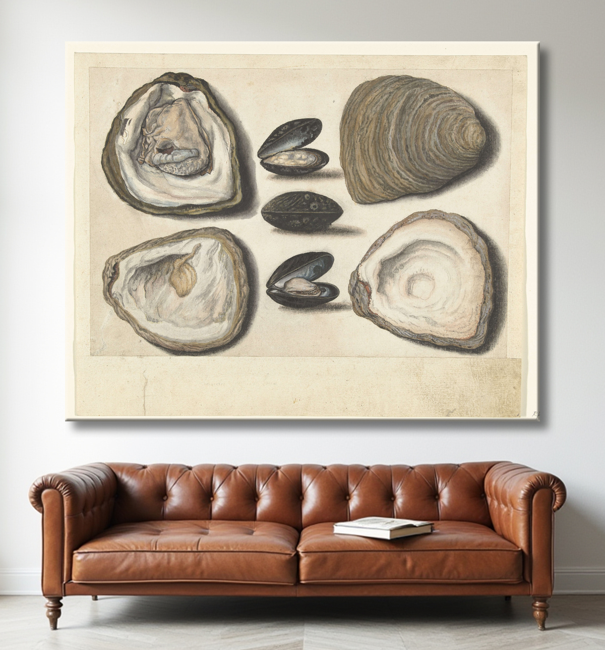 Reproduction Huîtres et moules de anonymous avec decor