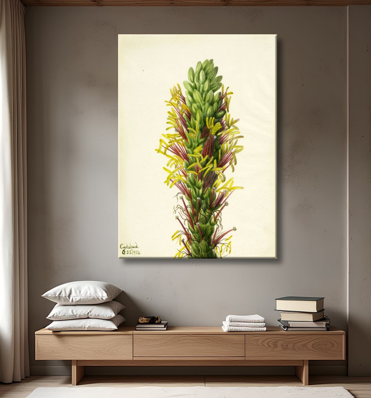 Reproduction Lechuguilla (Agava lechuguilla) de Mary Vaux Walcott, born Philadelphia, PA 1860-died St. Andrews, New Brunswick, Canada 1940 avec decor