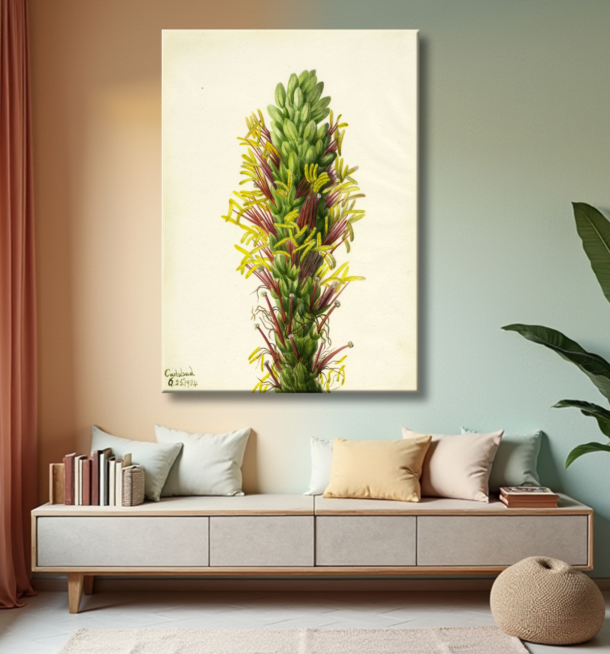 Reproduction Lechuguilla (Agava lechuguilla) de Mary Vaux Walcott, born Philadelphia, PA 1860-died St. Andrews, New Brunswick, Canada 1940 avec decor