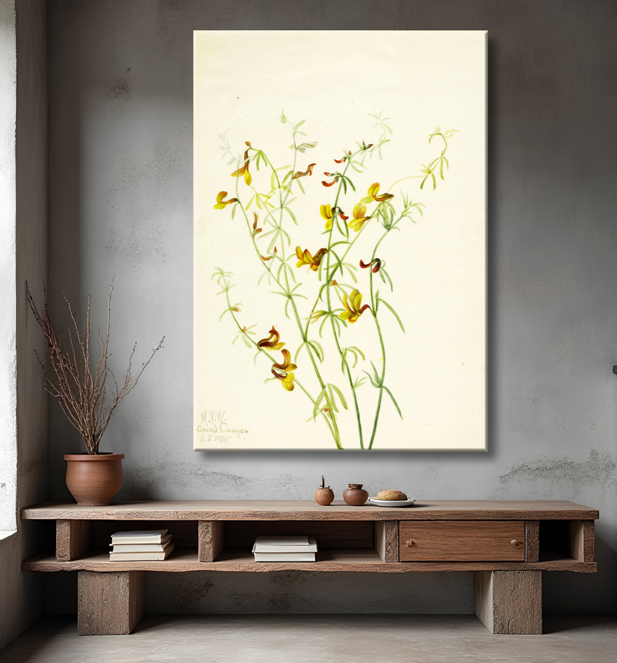 Reproduction Lotus puberulus de Mary Vaux Walcott, born Philadelphia, PA 1860-died St. Andrews, New Brunswick, Canada 1940 avec decor