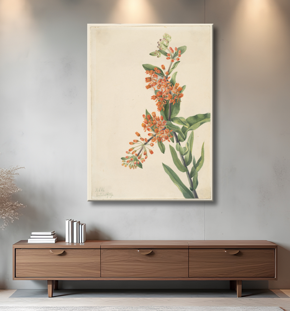 Impression de poster encadré ou toile d’art made in France. Mauvaise Herbe Papillon (Ascelpias tuberosa)...