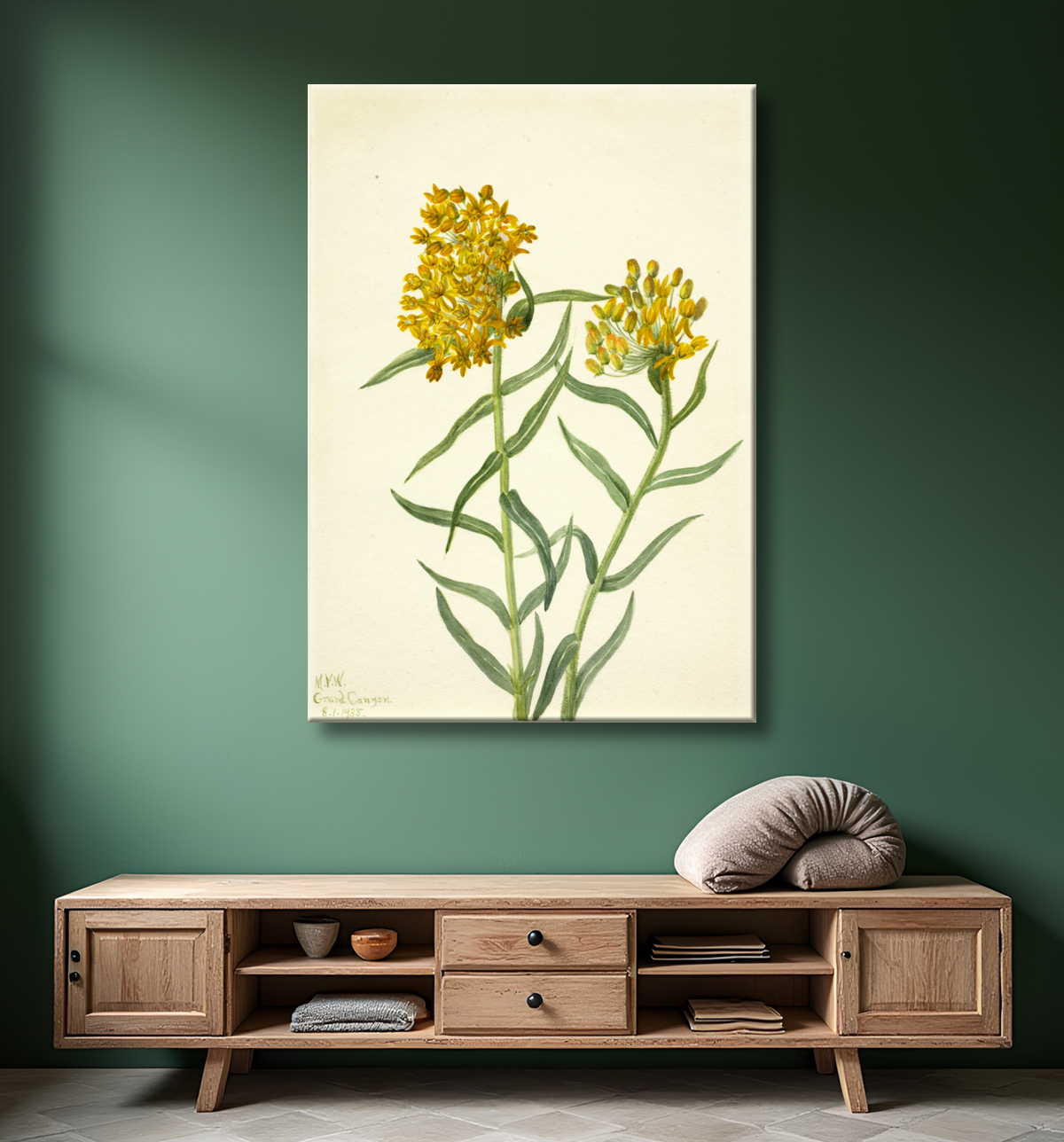 Reproduction Mauvaise Herbe Papillon (Ascelpias tuberosa) de Mary Vaux Walcott, born Philadelphia, PA 1860-died St. Andrews, New Brunswick, Canada 1940 avec decor