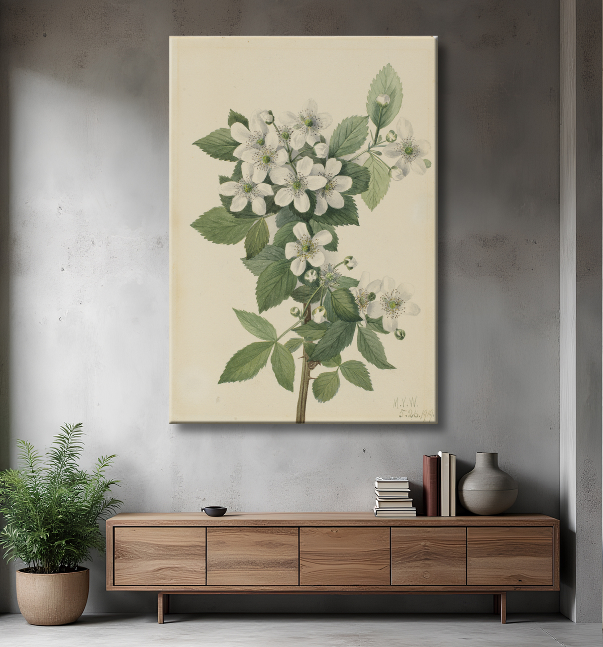 Reproduction Mûre en corymbe (Rubus argus) de Mary Vaux Walcott, born Philadelphia, PA 1860-died St. Andrews, New Brunswick, Canada 1940 avec decor