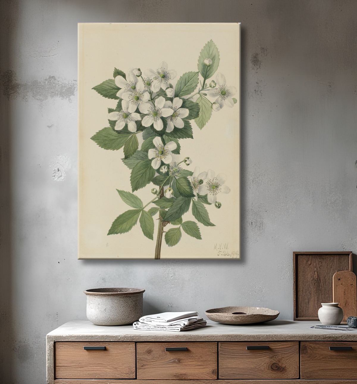 Reproduction Mûre en corymbe (Rubus argus) de Mary Vaux Walcott, born Philadelphia, PA 1860-died St. Andrews, New Brunswick, Canada 1940 avec decor