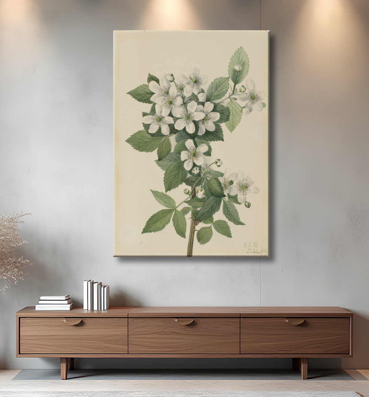 Reproduction Mûre en corymbe (Rubus argus) de Mary Vaux Walcott, born Philadelphia, PA 1860-died St. Andrews, New Brunswick, Canada 1940 avec decor
