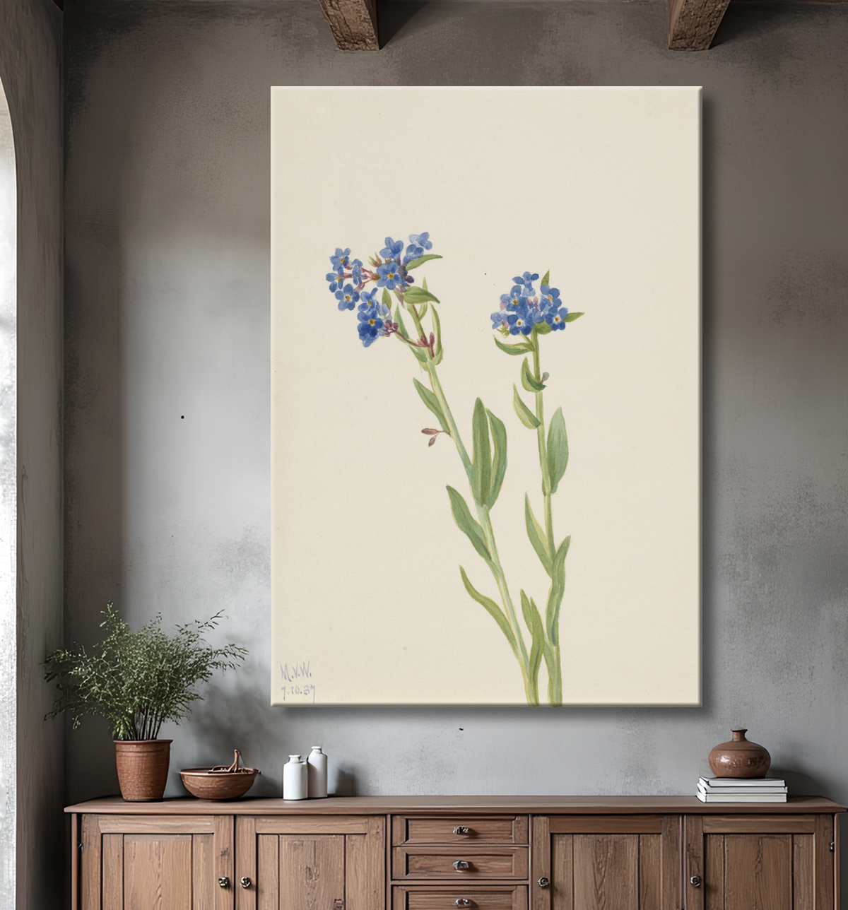 Reproduction Myosotis alpin (Myosotis alpestris) de Mary Vaux Walcott, born Philadelphia, PA 1860-died St. Andrews, New Brunswick, Canada 1940 avec decor