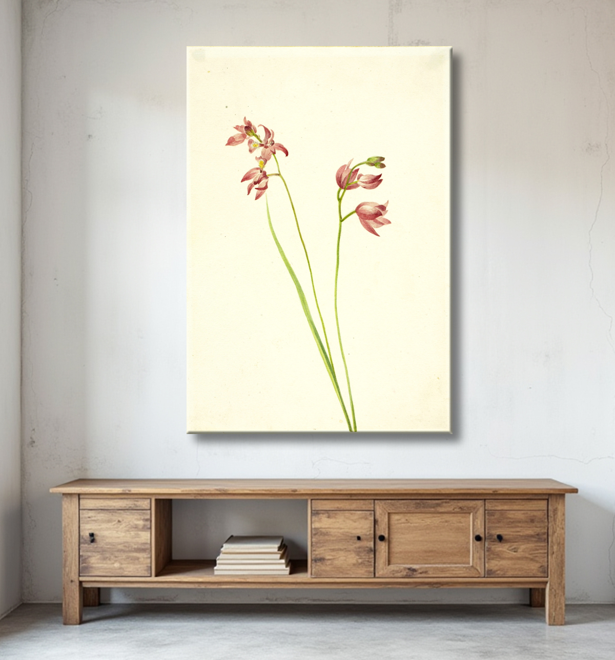 Reproduction Orchidée rose herbe (Limodorum tuberosum) de Mary Vaux Walcott, born Philadelphia, PA 1860-died St. Andrews, New Brunswick, Canada 1940 avec decor