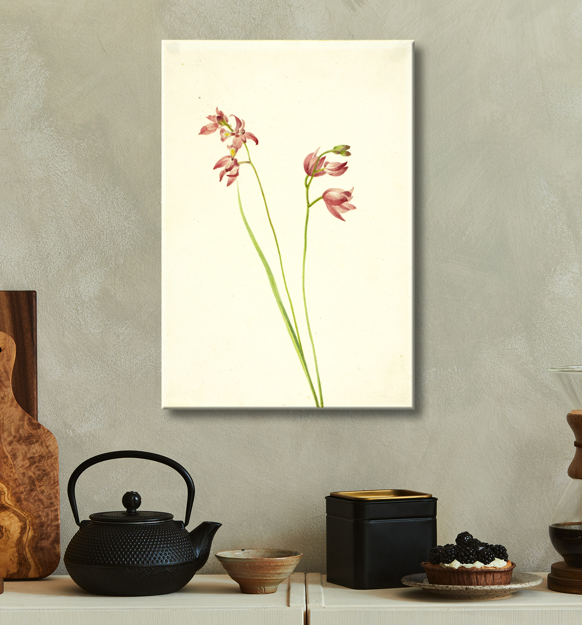 Reproduction Orchidée rose herbe (Limodorum tuberosum) de Mary Vaux Walcott, born Philadelphia, PA 1860-died St. Andrews, New Brunswick, Canada 1940 avec decor