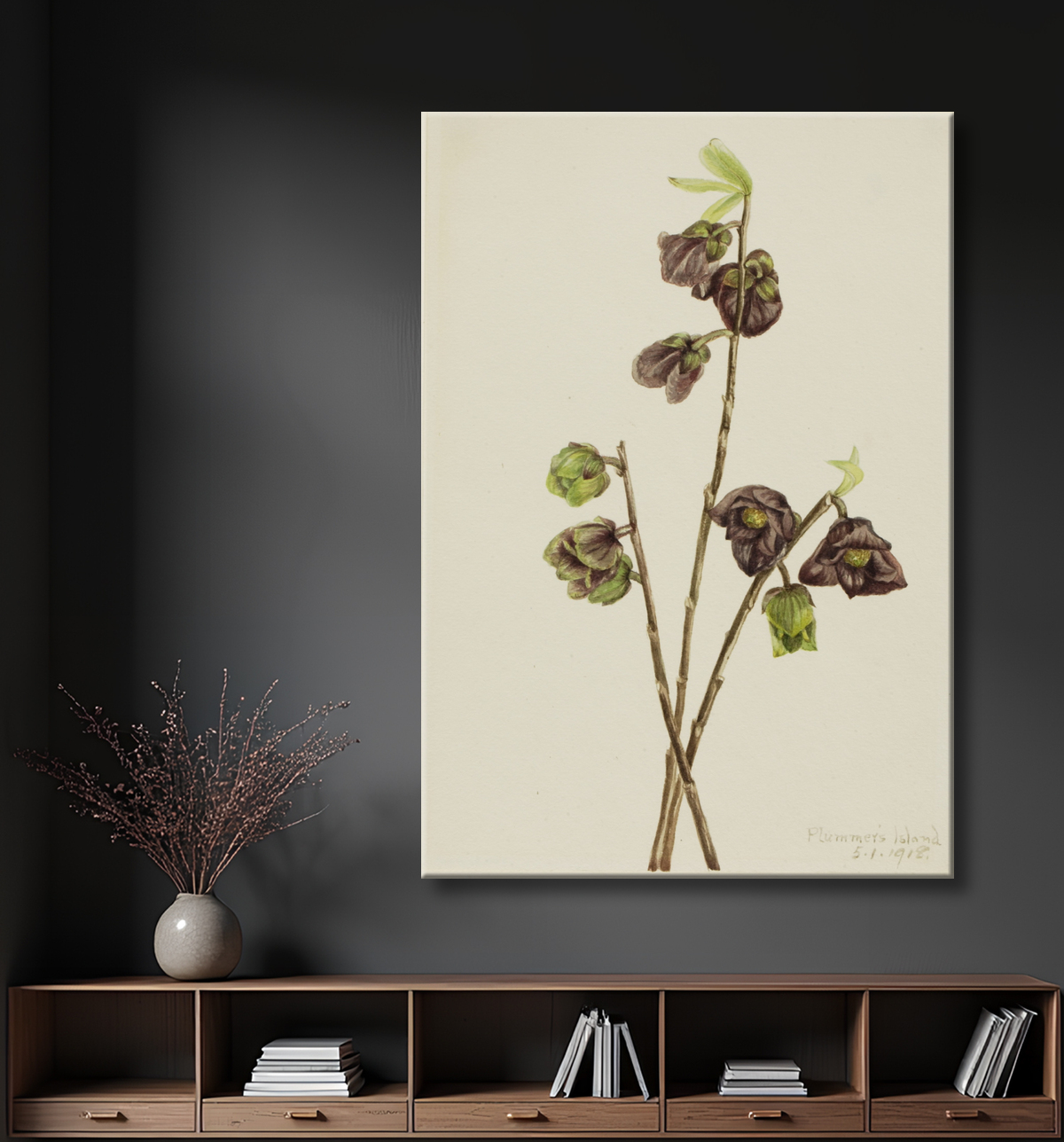 Reproduction Papaye (Asimina triloba) de Mary Vaux Walcott, born Philadelphia, PA 1860-died St. Andrews, New Brunswick, Canada 1940 avec decor