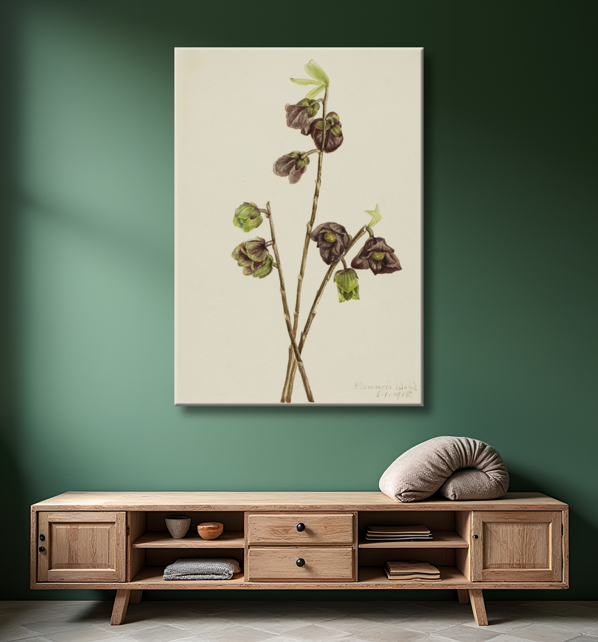 Reproduction Papaye (Asimina triloba) de Mary Vaux Walcott, born Philadelphia, PA 1860-died St. Andrews, New Brunswick, Canada 1940 avec decor