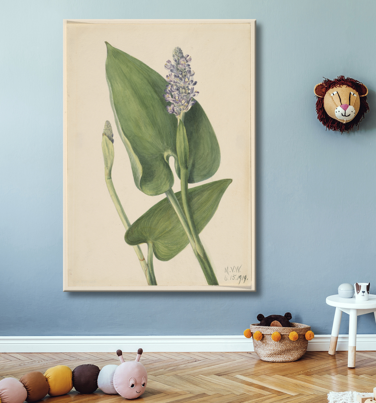 Reproduction Pickerelweed (Pontederia cordata) de Mary Vaux Walcott, born Philadelphia, PA 1860-died St. Andrews, New Brunswick, Canada 1940 avec decor