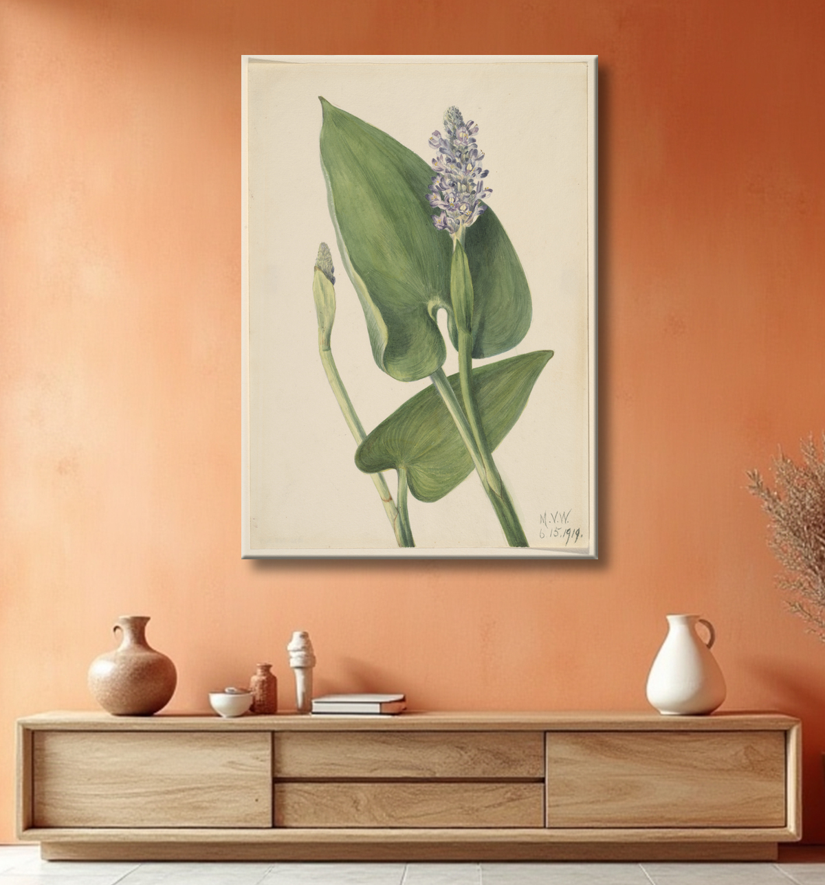 Reproduction Pickerelweed (Pontederia cordata) de Mary Vaux Walcott, born Philadelphia, PA 1860-died St. Andrews, New Brunswick, Canada 1940 avec decor