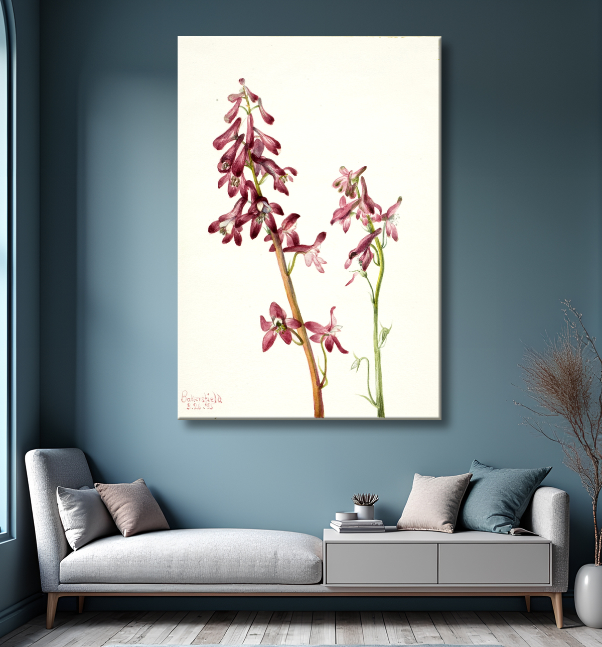Reproduction Pied d'alouette rouge (Delphinium nudicale) de Mary Vaux Walcott, born Philadelphia, PA 1860-died St. Andrews, New Brunswick, Canada 1940 avec decor
