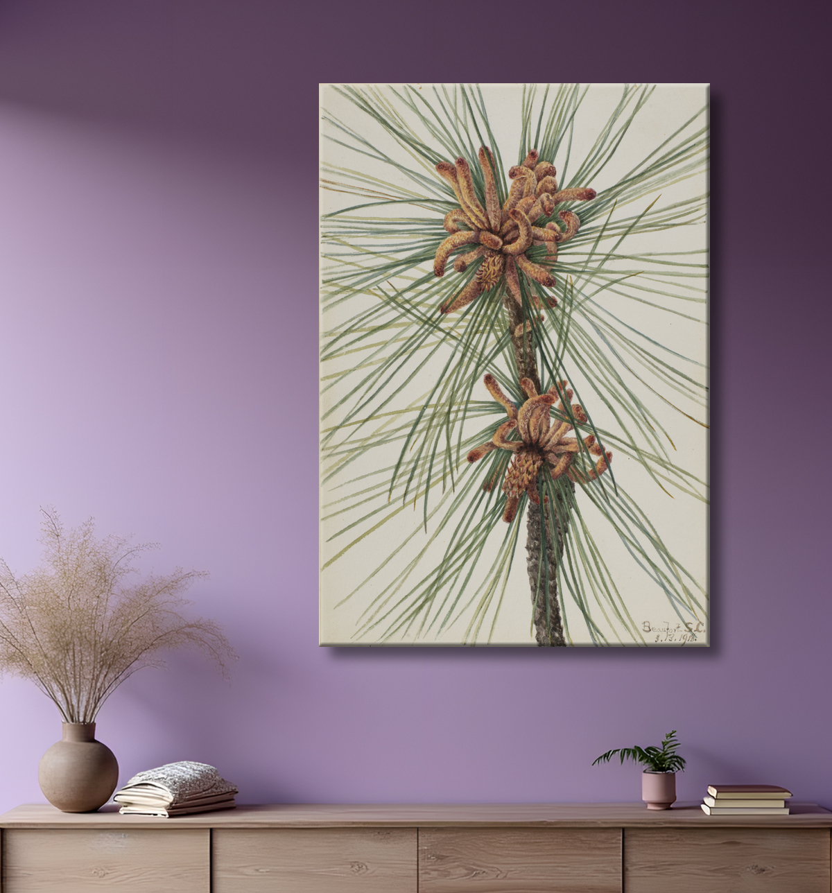 Reproduction Pin à encens (Pinus taeda) de Mary Vaux Walcott, born Philadelphia, PA 1860-died St. Andrews, New Brunswick, Canada 1940 avec decor