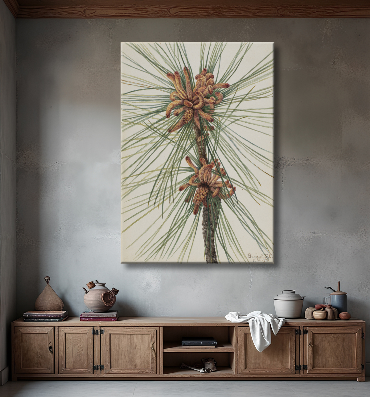 Reproduction Pin à encens (Pinus taeda) de Mary Vaux Walcott, born Philadelphia, PA 1860-died St. Andrews, New Brunswick, Canada 1940 avec decor