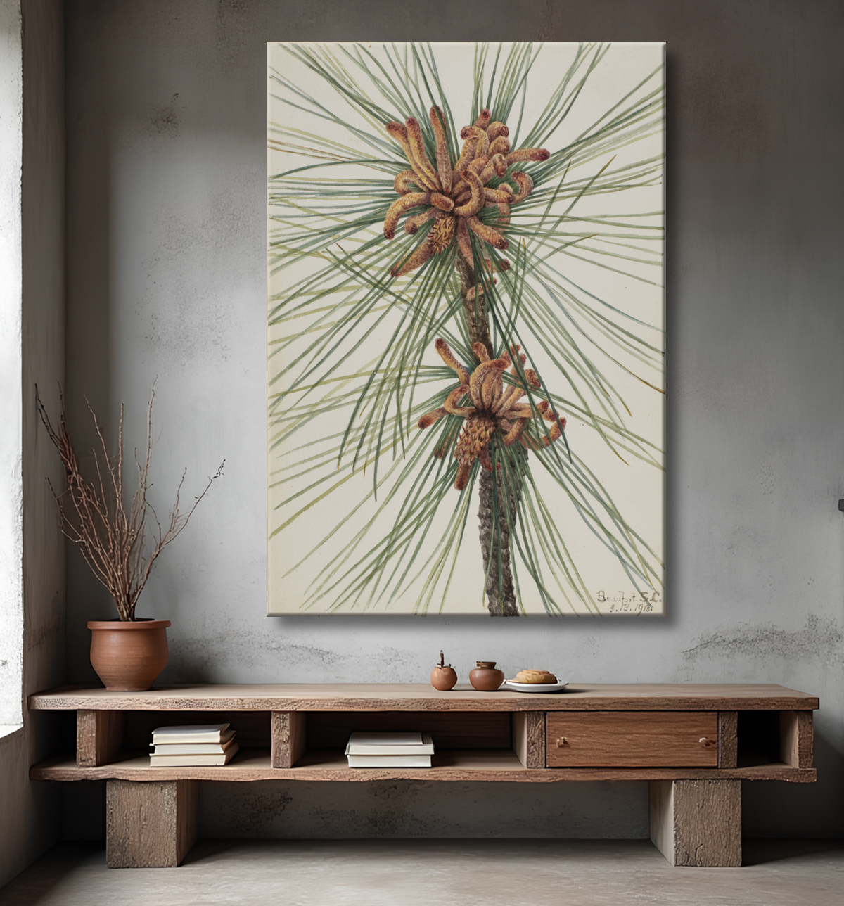 Reproduction Pin à encens (Pinus taeda) de Mary Vaux Walcott, born Philadelphia, PA 1860-died St. Andrews, New Brunswick, Canada 1940 avec decor