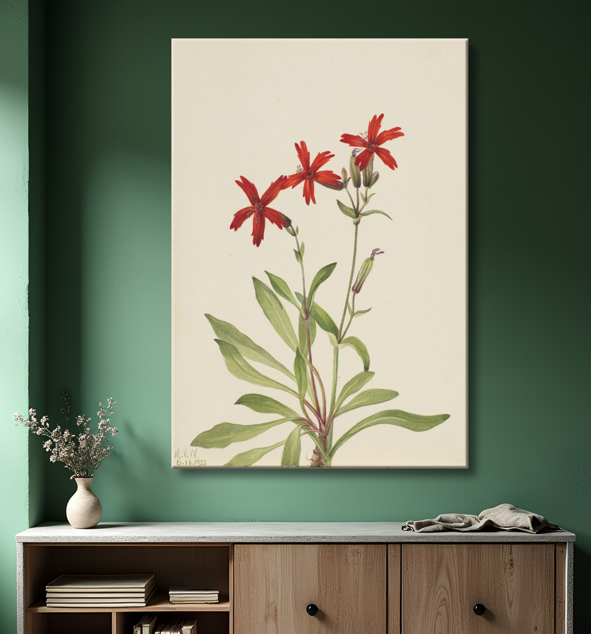 Reproduction Rose feu (Silene virginica) de Mary Vaux Walcott, born Philadelphia, PA 1860-died St. Andrews, New Brunswick, Canada 1940 avec decor