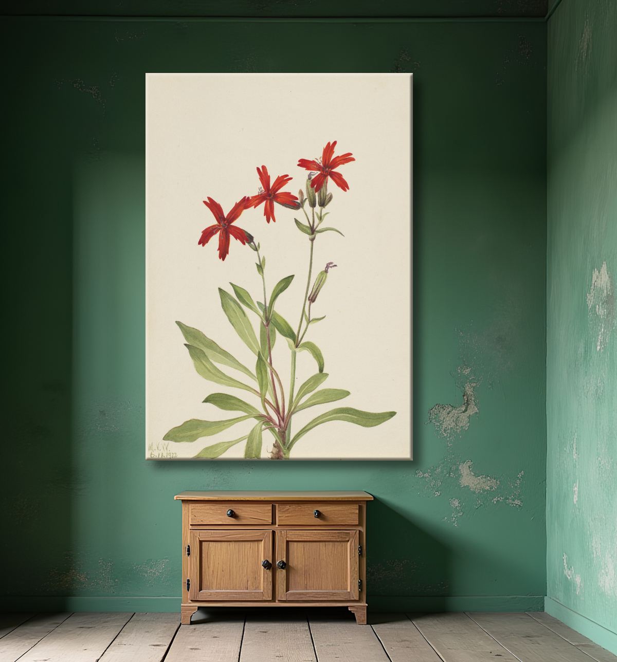 Reproduction Rose feu (Silene virginica) de Mary Vaux Walcott, born Philadelphia, PA 1860-died St. Andrews, New Brunswick, Canada 1940 avec decor