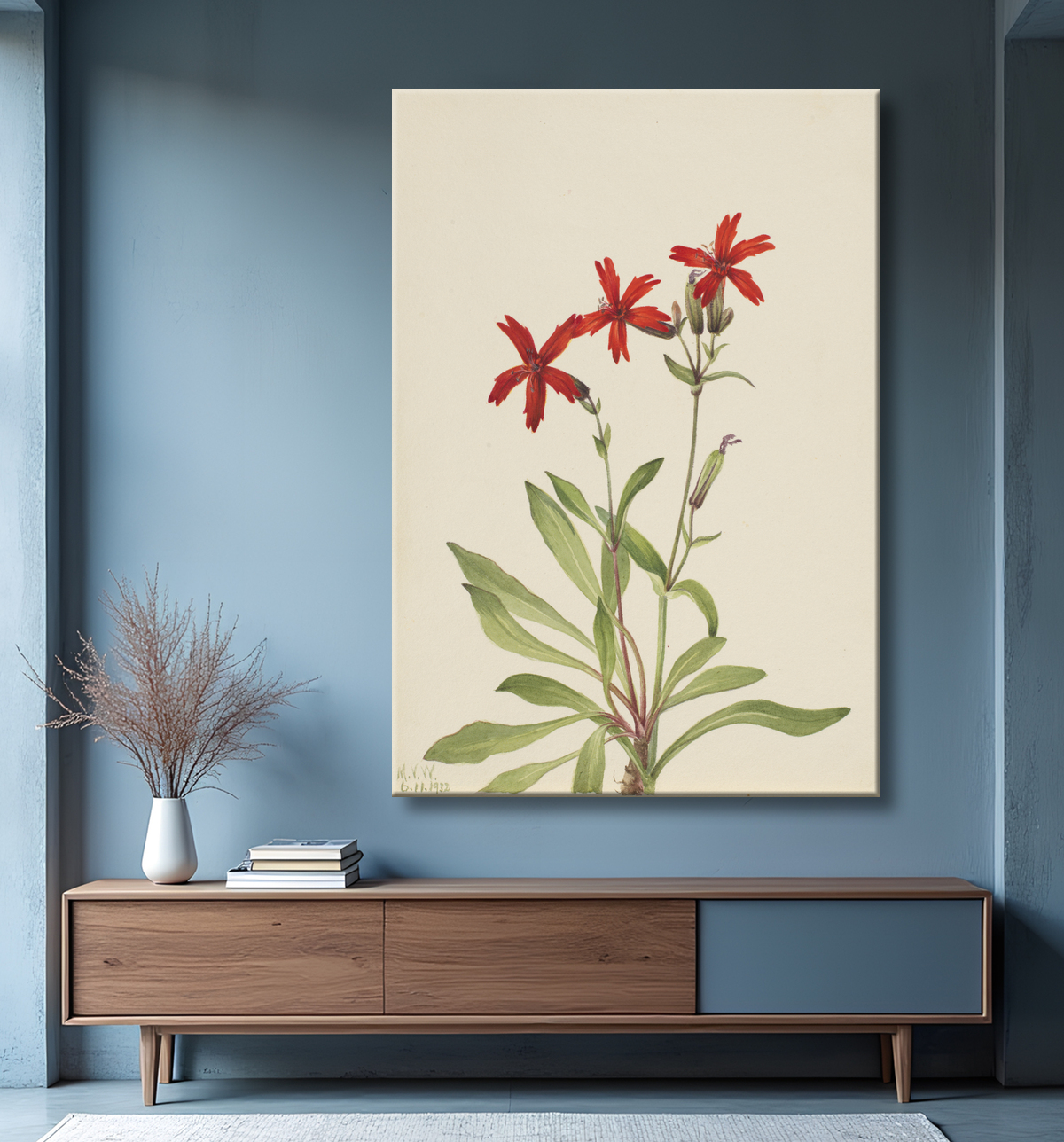 Reproduction Rose feu (Silene virginica) de Mary Vaux Walcott, born Philadelphia, PA 1860-died St. Andrews, New Brunswick, Canada 1940 avec decor