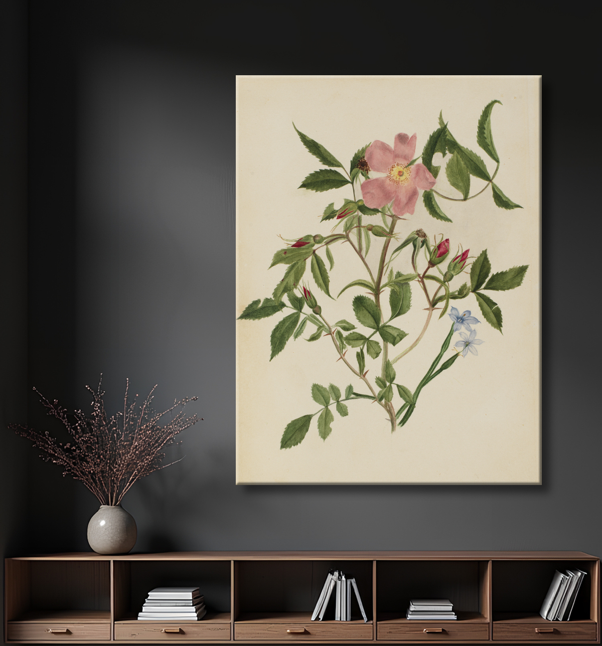 Reproduction Rosier sauvage et rosier aux yeux bleus (espèces Rosa et espèces Sisyrinchium) de Mary Vaux Walcott, born Philadelphia, PA 1860-died St. Andrews, New Brunswick, Canada 1940 avec decor