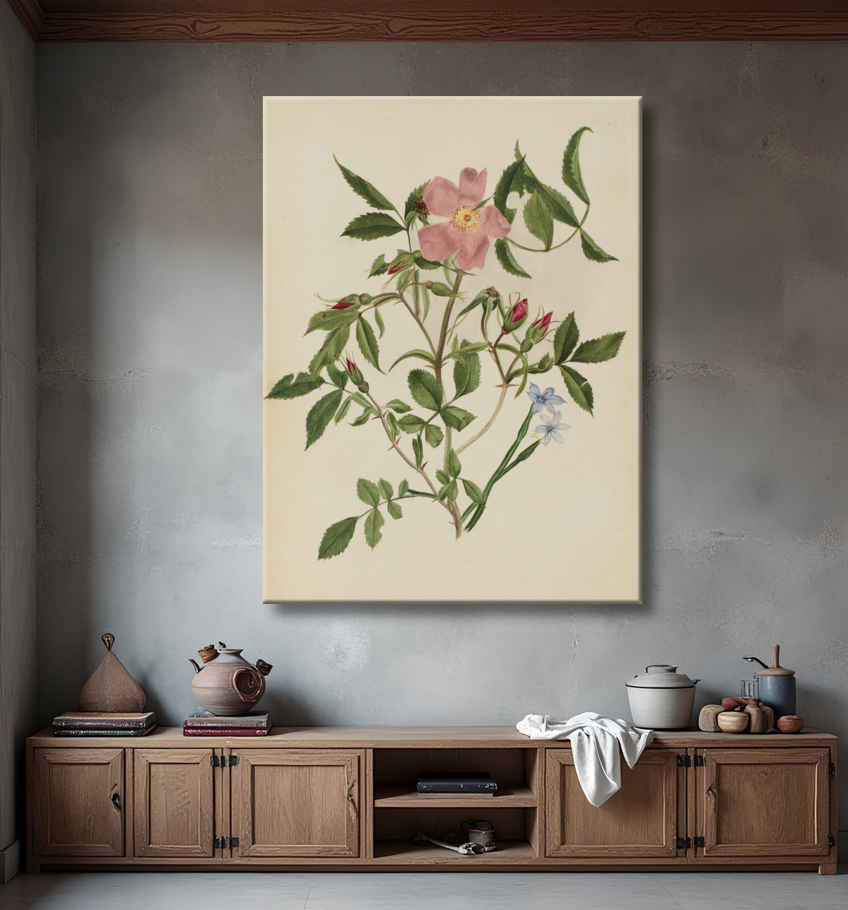 Reproduction Rosier sauvage et rosier aux yeux bleus (espèces Rosa et espèces Sisyrinchium) de Mary Vaux Walcott, born Philadelphia, PA 1860-died St. Andrews, New Brunswick, Canada 1940 avec decor