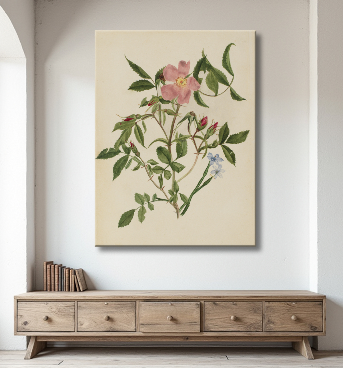 Reproduction Rosier sauvage et rosier aux yeux bleus (espèces Rosa et espèces Sisyrinchium) de Mary Vaux Walcott, born Philadelphia, PA 1860-died St. Andrews, New Brunswick, Canada 1940 avec decor