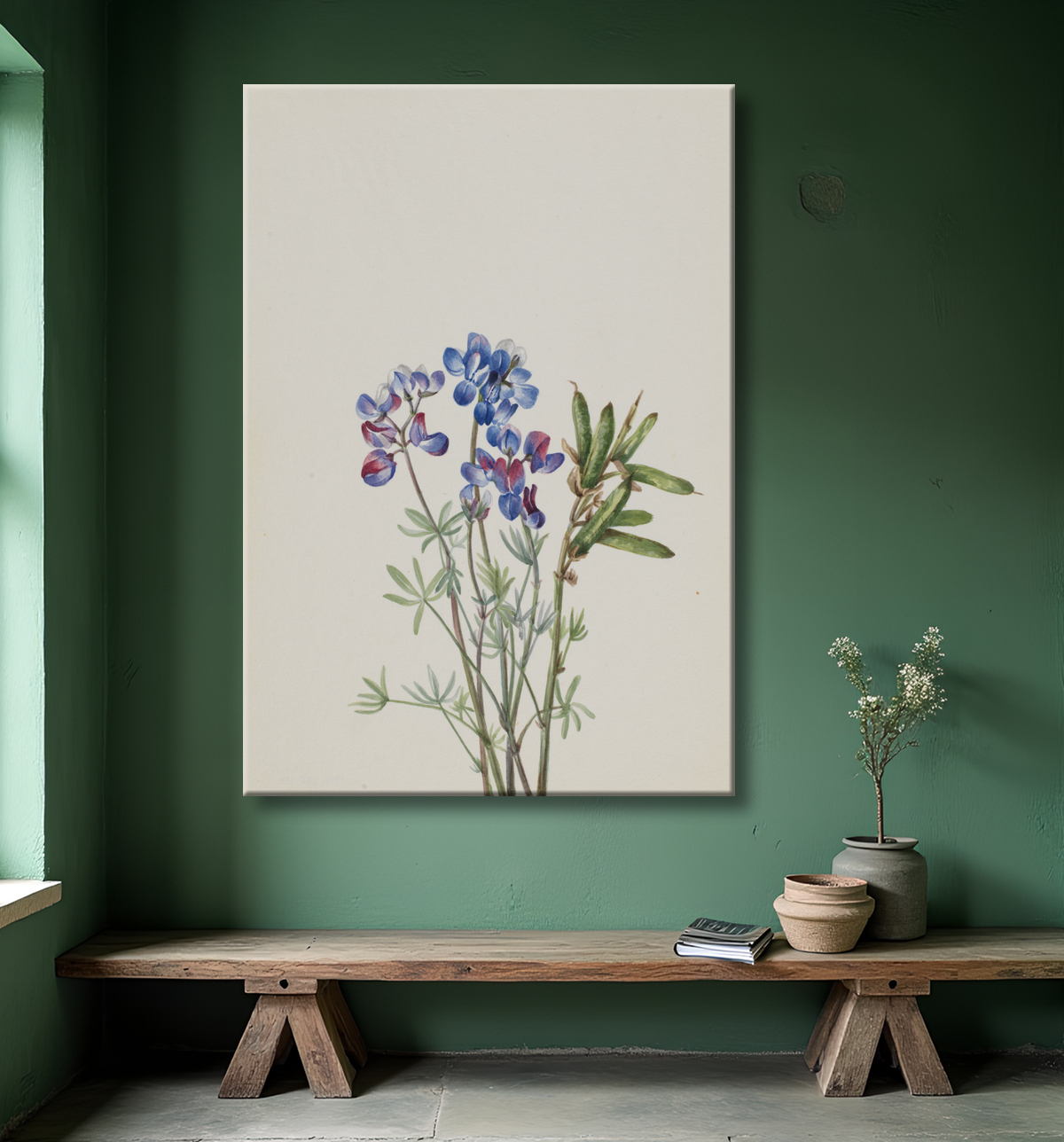 Reproduction Sans titre - Étude de fleurs de Mary Vaux Walcott, born Philadelphia, PA 1860-died St. Andrews, New Brunswick, Canada 1940 avec decor