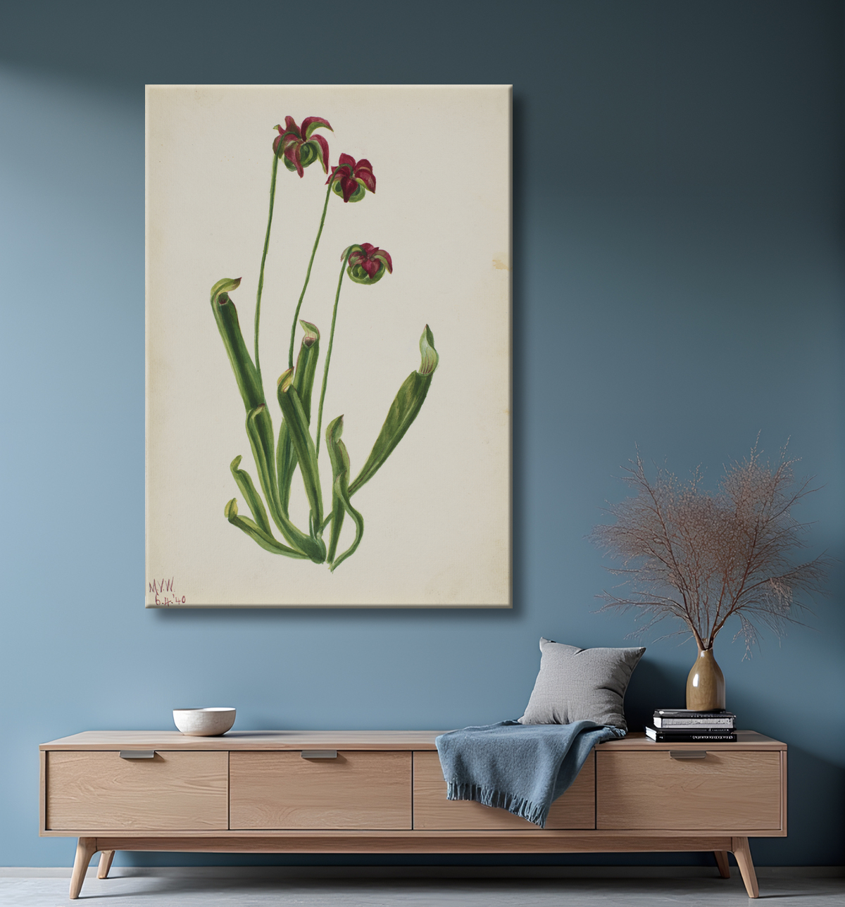 Reproduction (Sans titre - Étude sur les fleurs) de Mary Vaux Walcott, born Philadelphia, PA 1860-died St. Andrews, New Brunswick, Canada 1940 avec decor