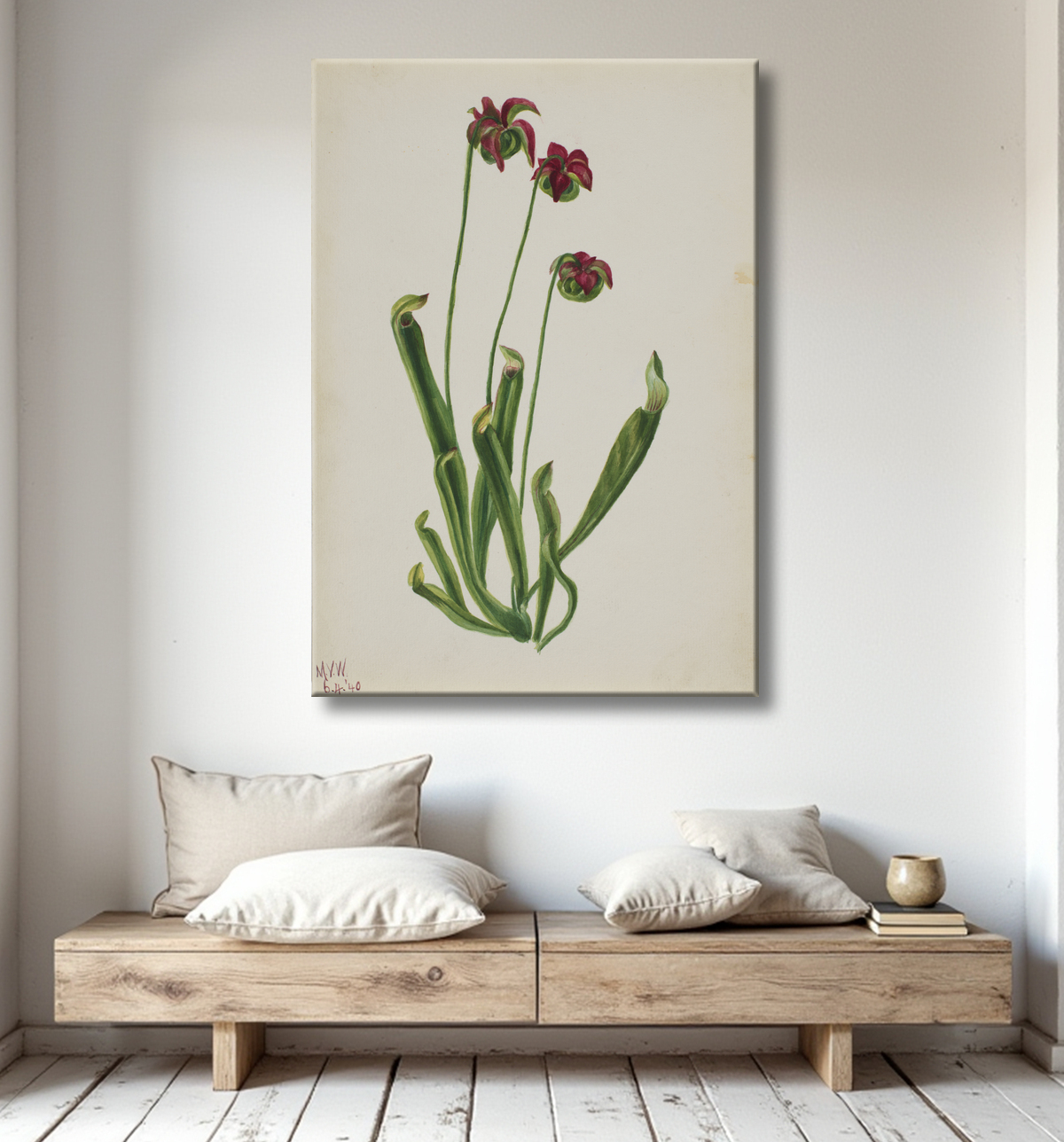 Reproduction (Sans titre - Étude sur les fleurs) de Mary Vaux Walcott, born Philadelphia, PA 1860-died St. Andrews, New Brunswick, Canada 1940 avec decor