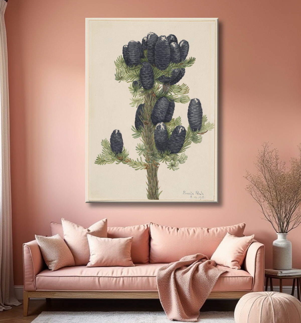 Reproduction Sapin des Alpes (Abies lasiocarpa) de Mary Vaux Walcott, born Philadelphia, PA 1860-died St. Andrews, New Brunswick, Canada 1940 avec decor