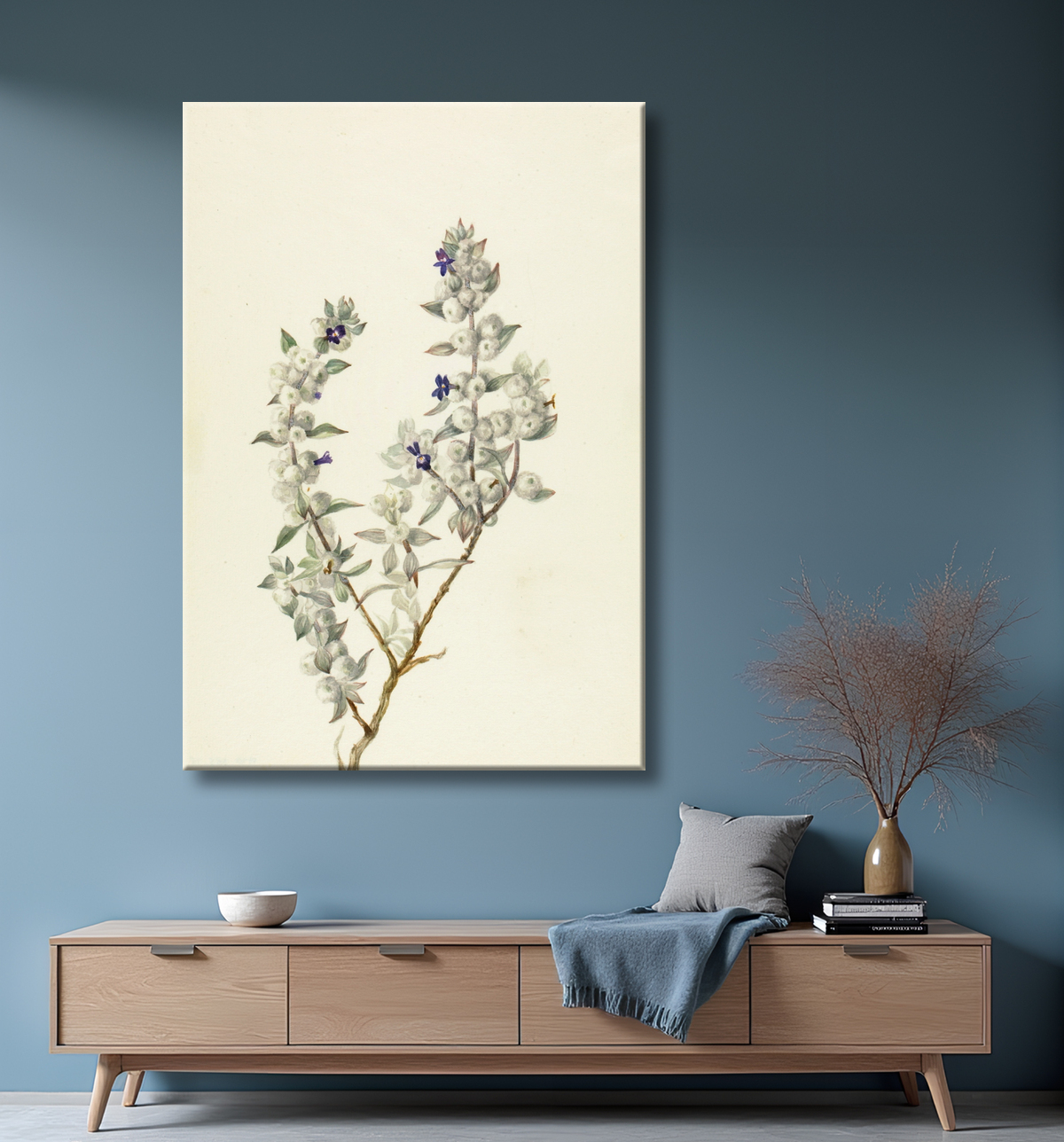 Reproduction Sauge de la Vallée de la Mort (Salvia funerea) de Mary Vaux Walcott, born Philadelphia, PA 1860-died St. Andrews, New Brunswick, Canada 1940 avec decor