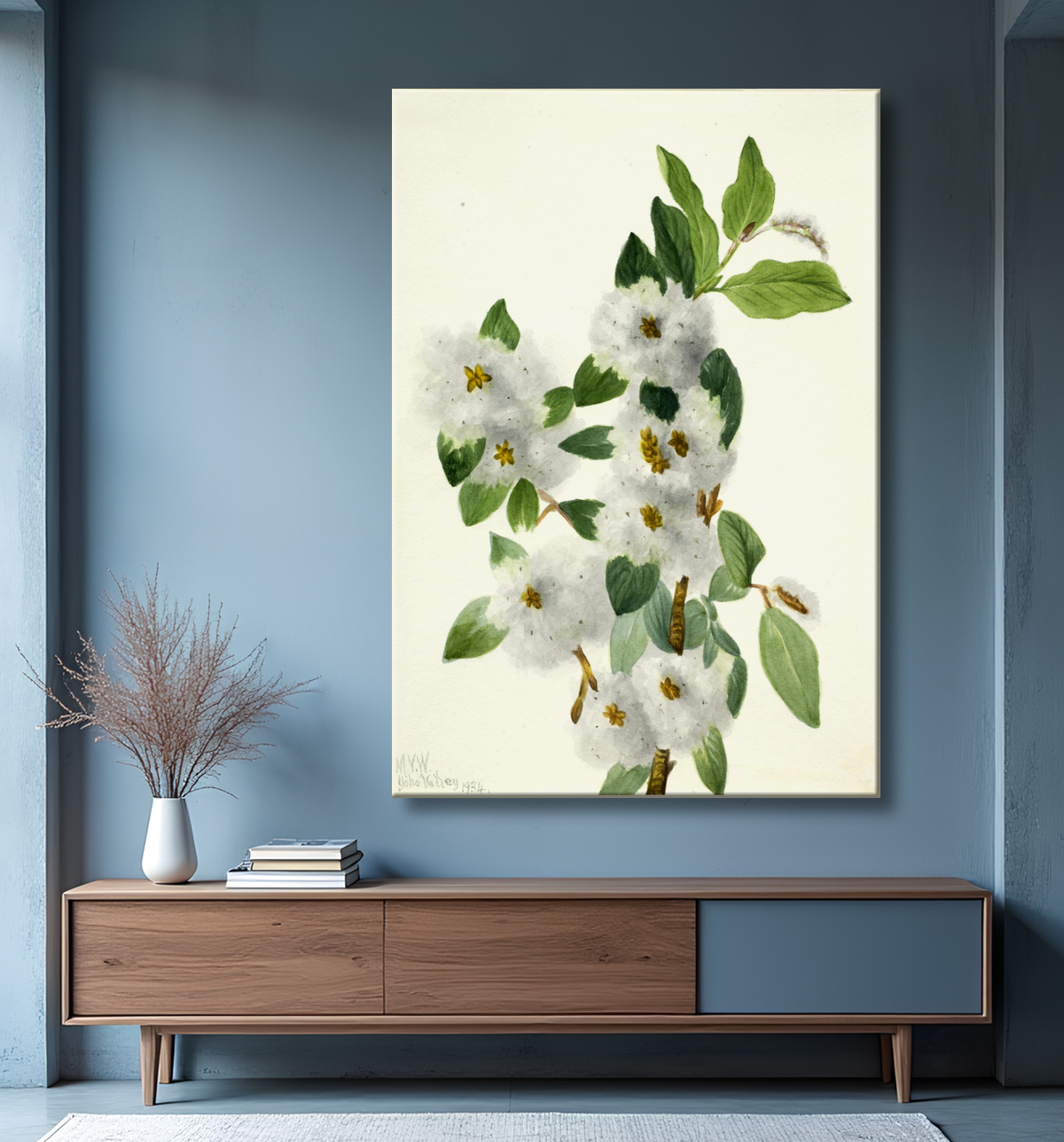 Reproduction Saule rocheux (Salix vestita) de Mary Vaux Walcott, born Philadelphia, PA 1860-died St. Andrews, New Brunswick, Canada 1940 avec decor