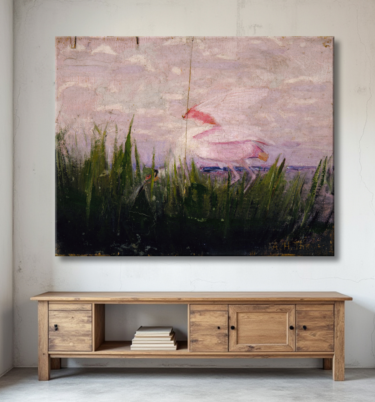 Reproduction Spatule rosée, étude pour le livre Concealing Coloration in the Animal Kingdom de Abbott Handerson Thayer, born Boston, MA 1849-died Dublin, NH 1921 avec decor