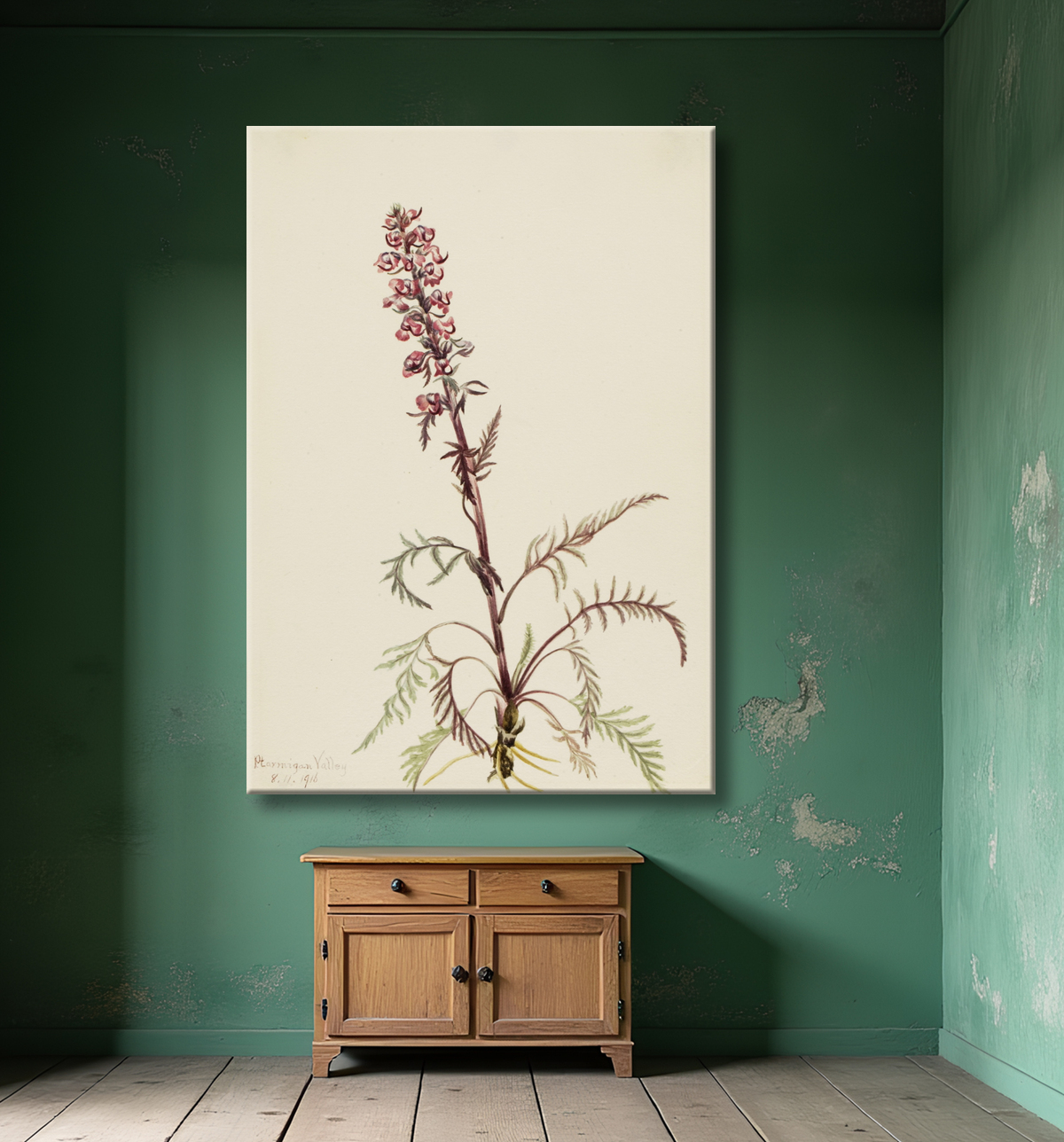 Reproduction Tête d'éléphant (Pedicularis groenlandica) de Mary Vaux Walcott, born Philadelphia, PA 1860-died St. Andrews, New Brunswick, Canada 1940 avec decor