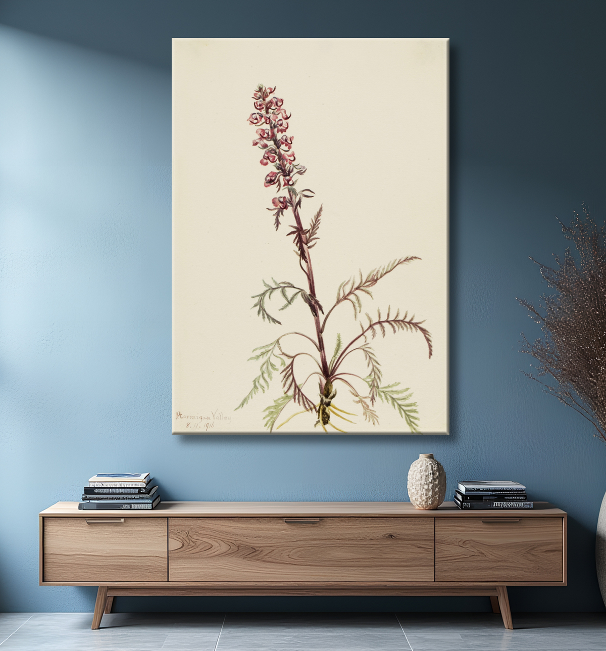 Reproduction Tête d'éléphant (Pedicularis groenlandica) de Mary Vaux Walcott, born Philadelphia, PA 1860-died St. Andrews, New Brunswick, Canada 1940 avec decor