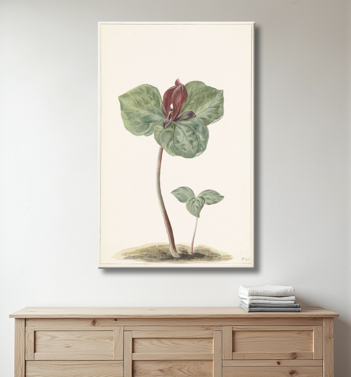 Reproduction trille de anonymous avec decor