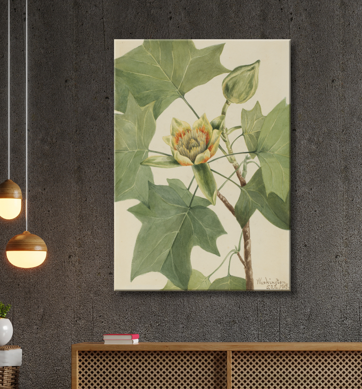 Reproduction Tulipier (Liriodendron tulipifera) de Mary Vaux Walcott, born Philadelphia, PA 1860-died St. Andrews, New Brunswick, Canada 1940 avec decor