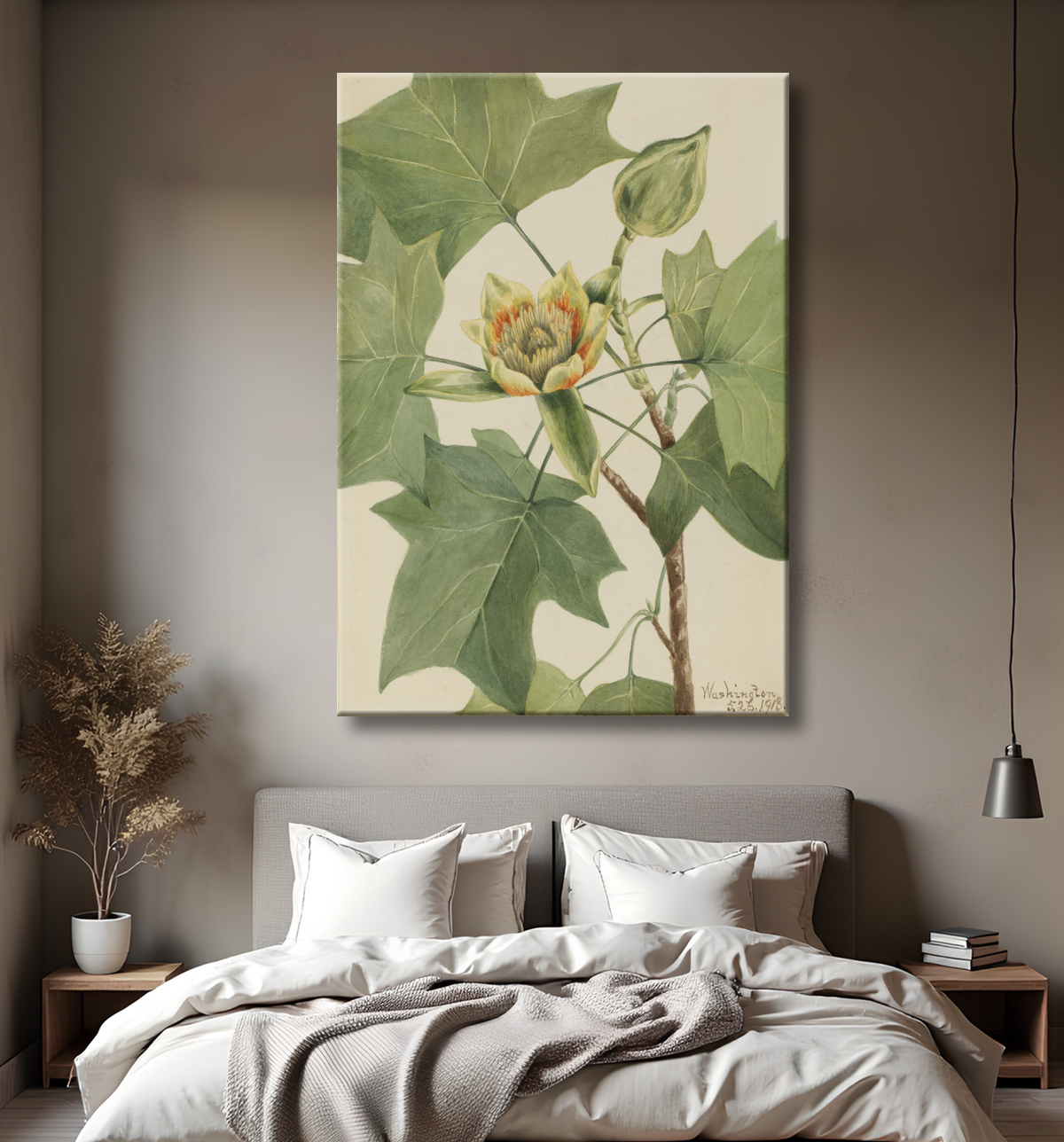 Reproduction Tulipier (Liriodendron tulipifera) de Mary Vaux Walcott, born Philadelphia, PA 1860-died St. Andrews, New Brunswick, Canada 1940 avec decor