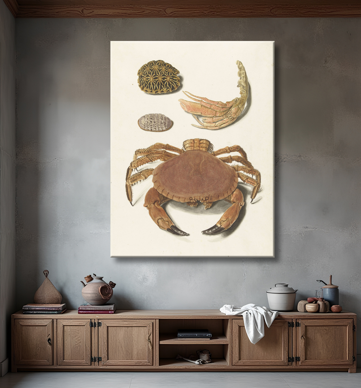 Reproduction Un crabe, des ciseaux à crabe et deux carapaces de tortue de Johann Gustav Hoch avec decor