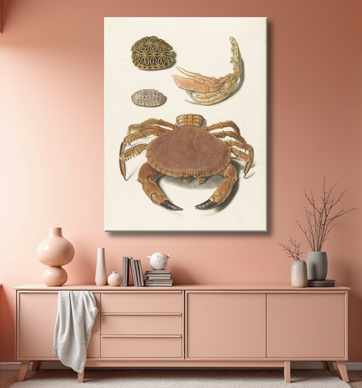 Reproduction Un crabe, des ciseaux à crabe et deux carapaces de tortue de Johann Gustav Hoch avec decor