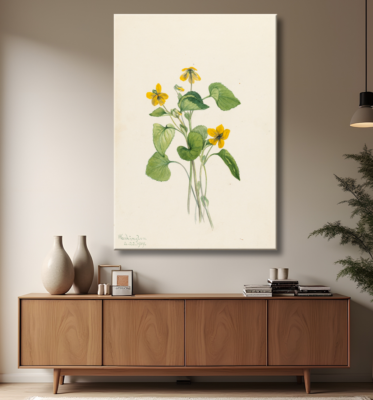 Reproduction Violet jaune lisse (Viola eriocarpa) de Mary Vaux Walcott, born Philadelphia, PA 1860-died St. Andrews, New Brunswick, Canada 1940 avec decor
