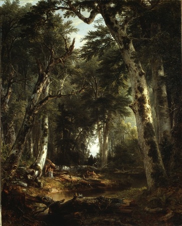 Impression haut de gamme sur toile ou affiche encadrée made in France. Dans les bois...