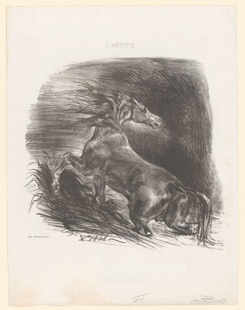 Toile fine art imprimée made in France ou affiche encadrée. cheval sauvage...